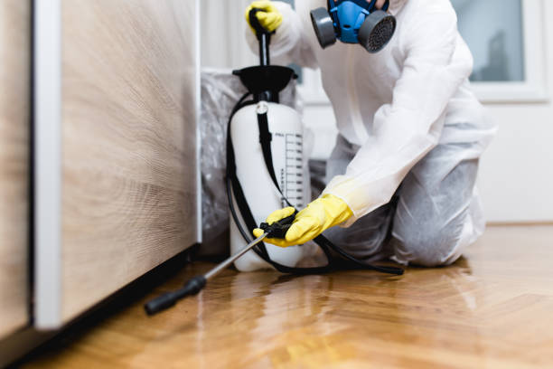 Best Affordable Pest Control Services  in Grand Ledge, MI