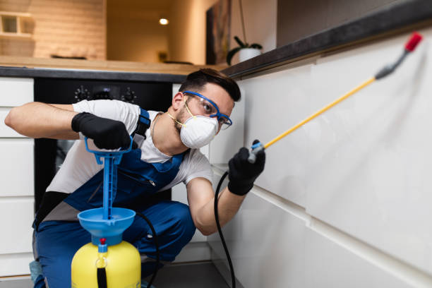 Best Pest Prevention Services  in Grand Ledge, MI