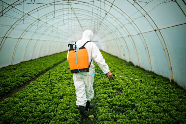 Best Pest Control for Businesses  in Grand Ledge, MI
