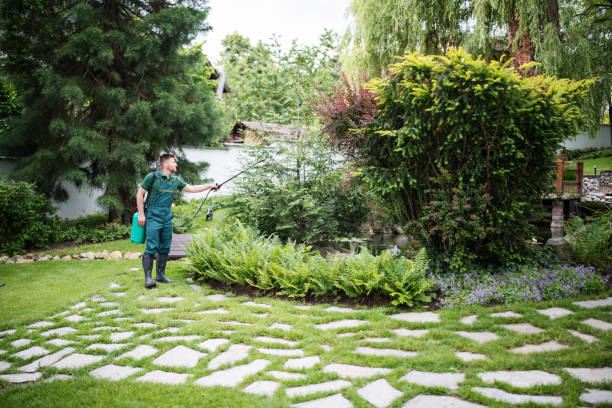 Best Local Pest Control Services  in Grand Ledge, MI