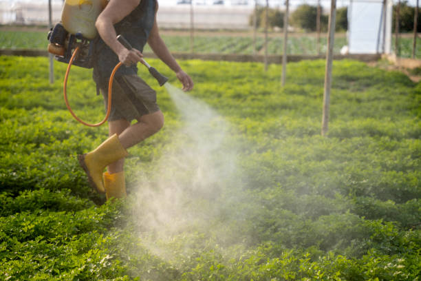 Pest Prevention Services in Grand Ledge, MI