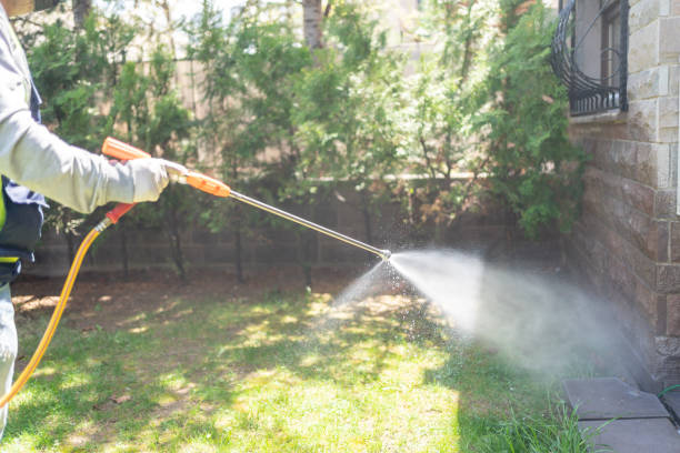 Best Pest Control Near Me in Grand Ledge, MI
