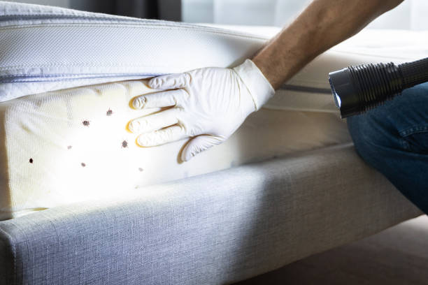 Best Pest Removal Services  in Grand Ledge, MI