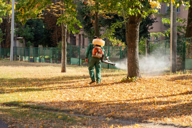 Best Pest Control Near Me  in Grand Ledge, MI