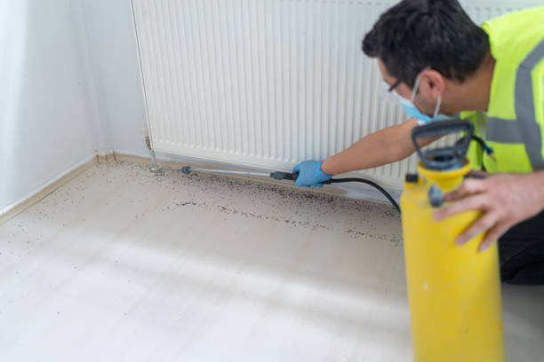 Trusted Grand Ledge, MI Pest Control Experts