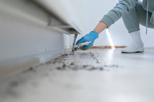 Best Cockroach Control Services  in Grand Ledge, MI