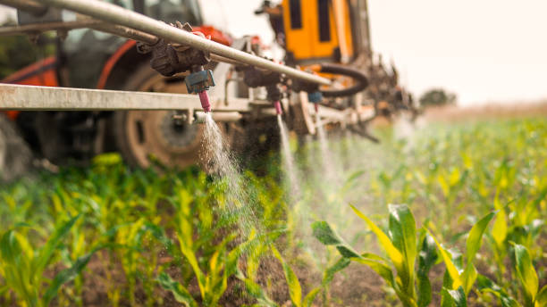 Best Best Pest Control Companies  in Grand Ledge, MI